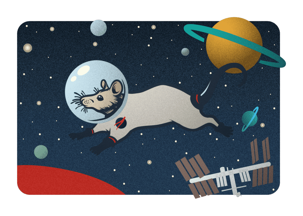 Mice in Space